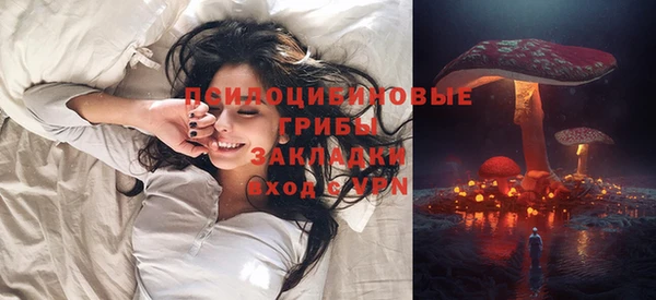 прущий лед Алексин