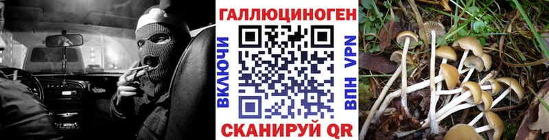 Псилоцибиновые грибы ЛСД  магазин продажи наркотиков  Кропоткин 